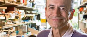 Geehrt. Thomas Südhof erforscht in Stanford die Kommunikation zwischen Nervenzellen.