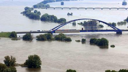 Land unter: Die Elbe im vergangenen Sommer.