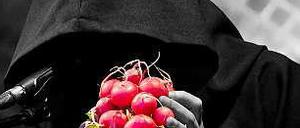 So sehen die Radieschen von unten aus. Der Tod und sein Lieblingsgemüse.