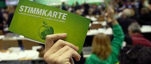Unter dem Strich verliefen die Debatten in Hamburg für Grünen-Verhältnisse ruhig.