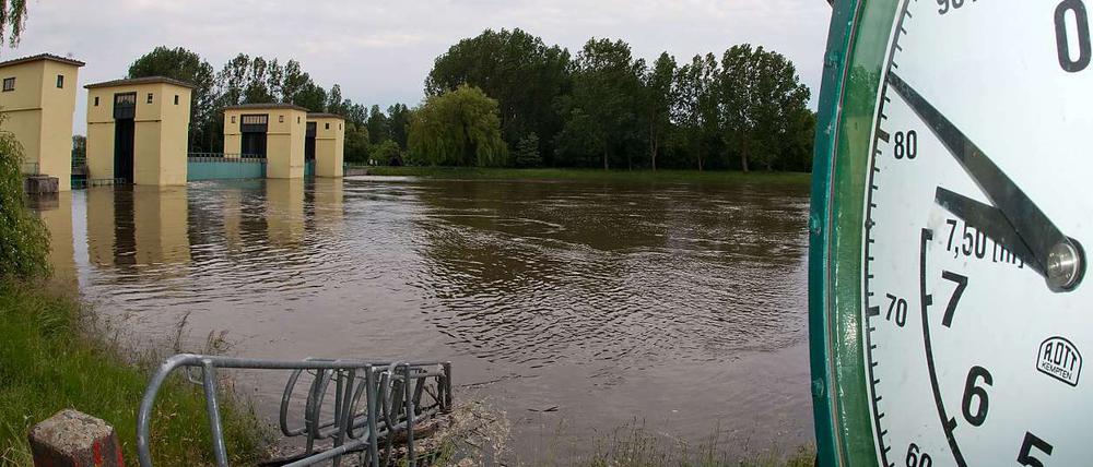 Die Polder geflutet. Da auf den Flächen das Wasser, haben Bauern Ernteausfälle. Sie fordern Entschädigung. 