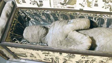 Gut eingelegt. Auf dem Dachboden einer Diepholzer Wohnung wurde eine Mumie gefunden. Die Knochen sind wohl über 2000 Jahre alt. Die Bandagen jedoch frisch. Die Staatsanwaltschaft bemüht sich um Aufklärung. Foto: dpa