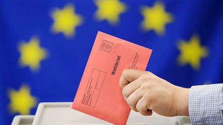 Am 25. Mai ist Wahltag.