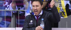 Sieht seine Mannschaft noch in der Findungsphase: Eisbären-Trainer Jeff Tomlinson.