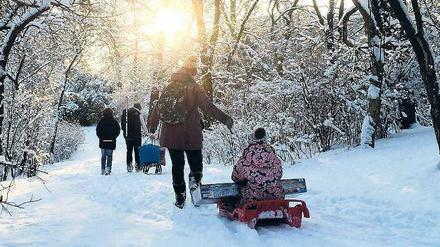 Winterzauber im Volkspark Wilmersdorf.