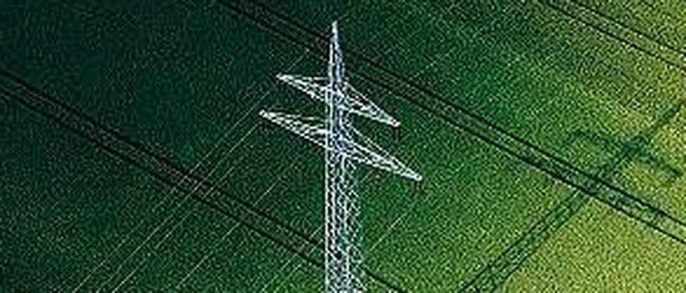 Ökorepublik Deutschland. Trotz Förderkürzungen geht der Ausbau der erneuerbaren Energien voran, vor allem zulasten von Gaskraftwerken. 