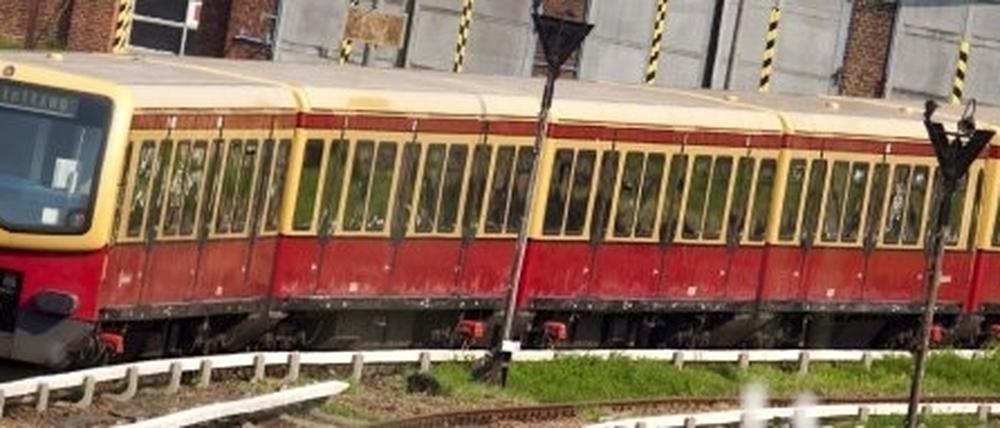 302172_3_Berliner.jpg