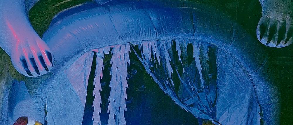 317695_0_4df6ffd4.jpg