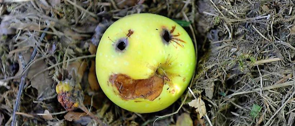 Ist das Essen frisch, stimmt der Service? Lachende und weinende Smileys sollen Gaststätten-Gästen künftig darüber Auskunft geben.