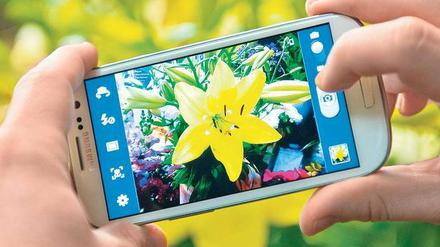 Das große Display des Galaxy S3 nutzt eine LED-Technik, die Fotos besonders kontrastreich und mit intensiven Farben darstellt. Foto: Andrea Warnecke, dpa