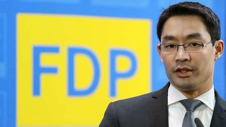 Die FDP-Minister im Kabinett werden einem Verbotsantrag nicht zustimmen, kündigte FDP-Chef Philipp Rösler an.