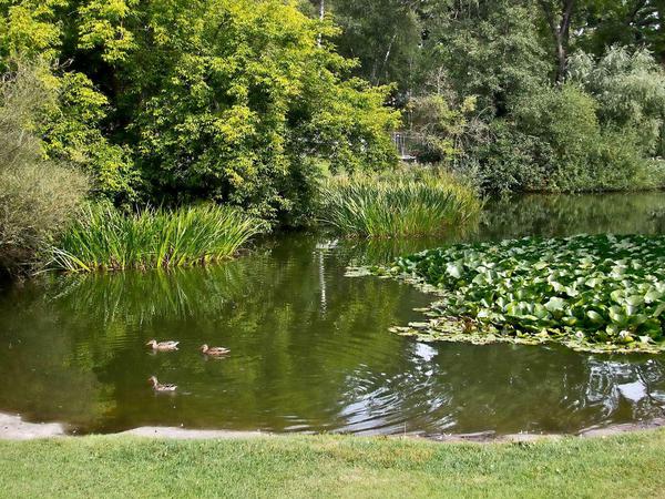Das Fischtal, Park in Zehlendorf