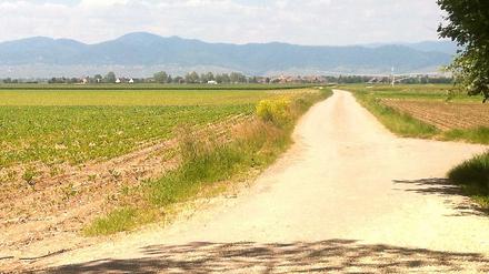 Bei bestem Wetter wandert unser Kolumnist im Elsaß entlang des Rheins.