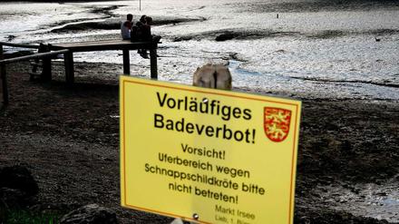 Jugendliche sitzen am Steg und halten Ausschau nach "Lotti", der bissigen Schildkröte aus Irsee.