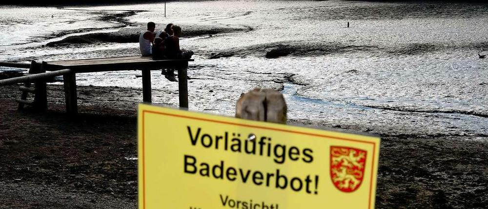 Jugendliche sitzen am Steg und halten Ausschau nach "Lotti", der bissigen Schildkröte aus Irsee.