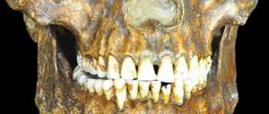 Der Schädel des Kostenki 14 Mannes, der vor 36000 Jahren in Westsibirien in der Nähe des heutigen Ortes Kostenki lebte.