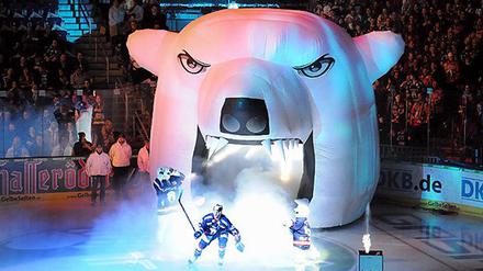 Ein Eisbären-Spiel aus anderer Perspektive erleben. Genau das können Sie, liebe Leserinnen und Leser, bei uns ersteigern.