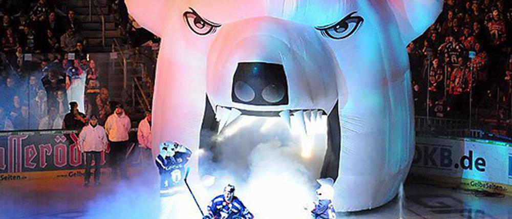 Ein Eisbären-Spiel aus anderer Perspektive erleben. Genau das können Sie, liebe Leserinnen und Leser, bei uns ersteigern.
