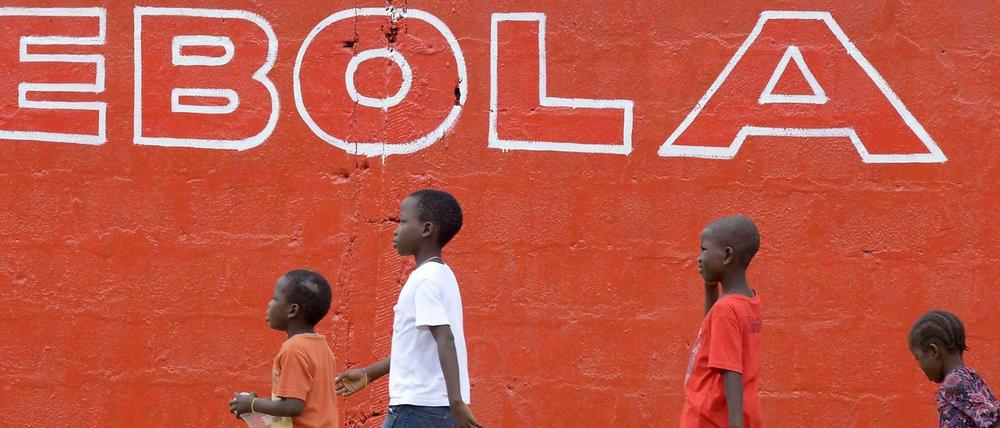 In den am stärksten von Ebola betroffenen Ländern fehlt es an allem. Die Gesundheitssysteme sind zusammengebrochen, wie hier in Liberia. Es fehlt an Strom, an Straßen, an sauberem Wasser. Die Wünsche sind vielfältig.