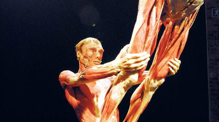 Die Körperwelten-Ausstellungen des "Plastinators" Gunther von Hagens werden immer wieder kontrovers diskutiert.