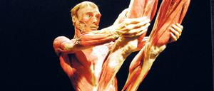 Die Körperwelten-Ausstellungen des "Plastinators" Gunther von Hagens werden immer wieder kontrovers diskutiert.
