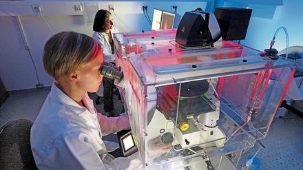 In einem Labor arbeiten zwei Frauen an Mikroskopen.