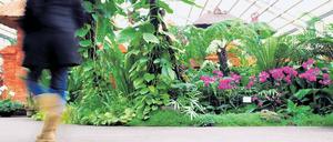 Schwitzen unter der Wintermütze. Im Balinesischen Garten im Erholungspark Marzahn herrschen permanent rund 22 Grad.