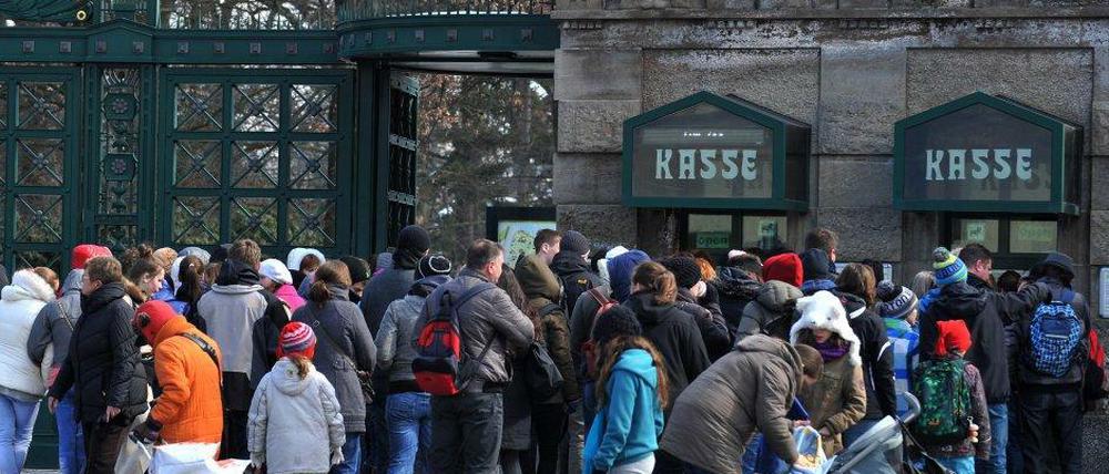 Das Veterinäramt erstattet Anzeige gegen Zoochef Bernhard Blaszkiewitz.