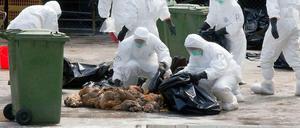 Gekeult. Mitarbeiter des Gesundheitsamtes in Hong Kong beseitigen Hühner, die sicherheitshalber getötet wurden. So soll die Ausbreitung der Vogelgrippe gebremst werden. 