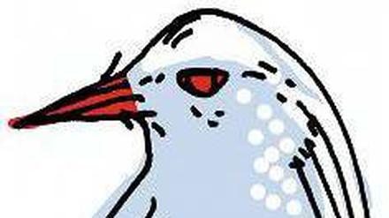 Kagu.