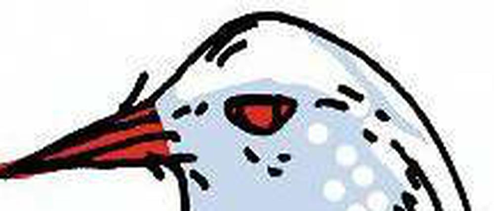 Kagu.