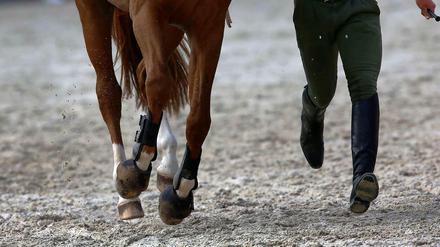 Wann von Pferd ab und wann auf ein neues wieder aufspringen? Das ist oft nicht einfach zu beantworten - zumindest wenn das Pferd der Weg ist, für den man sich im Leben entscheidet. 