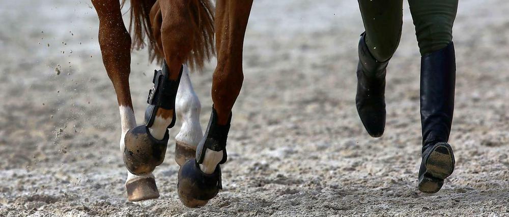 Wann von Pferd ab und wann auf ein neues wieder aufspringen? Das ist oft nicht einfach zu beantworten - zumindest wenn das Pferd der Weg ist, für den man sich im Leben entscheidet. 