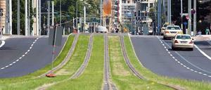 Die neu verlegten Straßenbahnschienen in der Invalidenstraße - offenbar wurde der Umbau deutlich teurer als geplant.