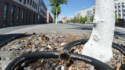 Hitze und Dürre macht den Stadtbäumen besonders zu schaffen – teilweise helfen Anwohner, oder auch mal die Feuerwehr beim gießen.