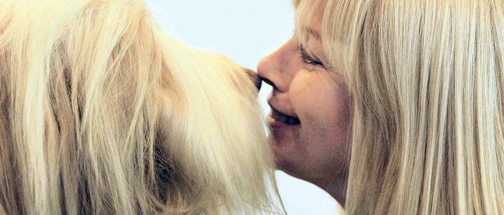 Gefühltes Wissen. Hunde lesen Gemütszustände aus der menschlichen Mimik.