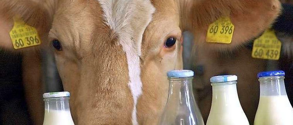 Die Milchpreise sinken.