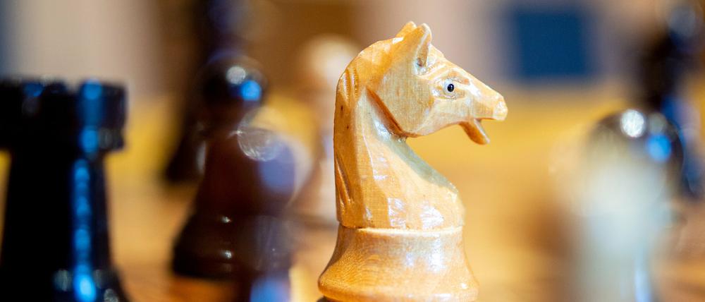 Die Schachfigur eines Springers und andere Figuren auf einem Schachbrett. (Archivbild)