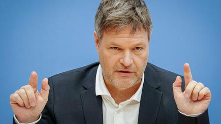 Bundeswirtschaftsminister Habeck bei einer Pressekonferenz (Archivbild).