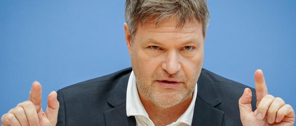 Bundeswirtschaftsminister Habeck bei einer Pressekonferenz (Archivbild).