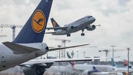 Eine Passagiermaschine der Lufthansa landet auf dem Flughafen Frankfurt.