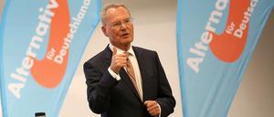 Hans-Olaf Henkel wart die AfD vor dem Untergang. 