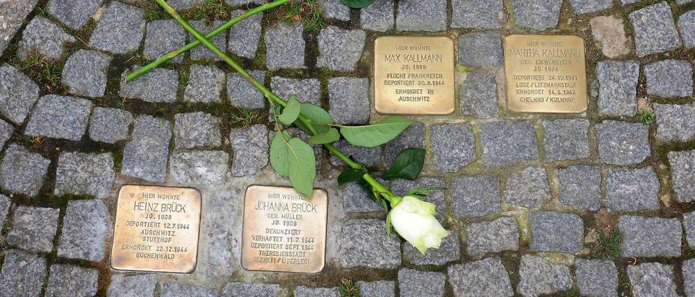 Vier der sieben „Stolpersteine“ vor dem Haus Dahlmannstraße 1.