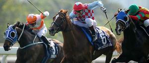 Red Cadeaux (Mitte) triumphierte vor zwei Jahren in Hongkong.