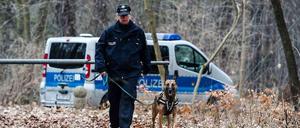 Nach dem Knochenfund im Jungfernheidepark in Berlin-Charlottenburg suchen nun speziell ausgebildete Spürhunde nach weiteren Überresten.