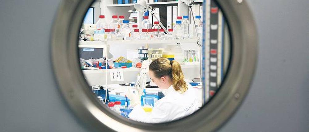 Biomedizin für alle. Das Wissenschaftsjahr soll die Öffentlichkeit für Forschung interessieren.Foto: Thilo Rückeis