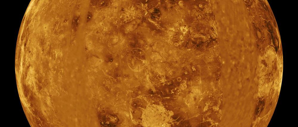 Auf der Venus herrschen extreme Temperaturen und hoher Druck. Ob dort irgendeine Form von Leben existieren kann, ist umstritten. Und auch, ob ein seltenes Gas, das in der Atmosphäre gefunden wurde, auf Lebensprozesse hindeutet.