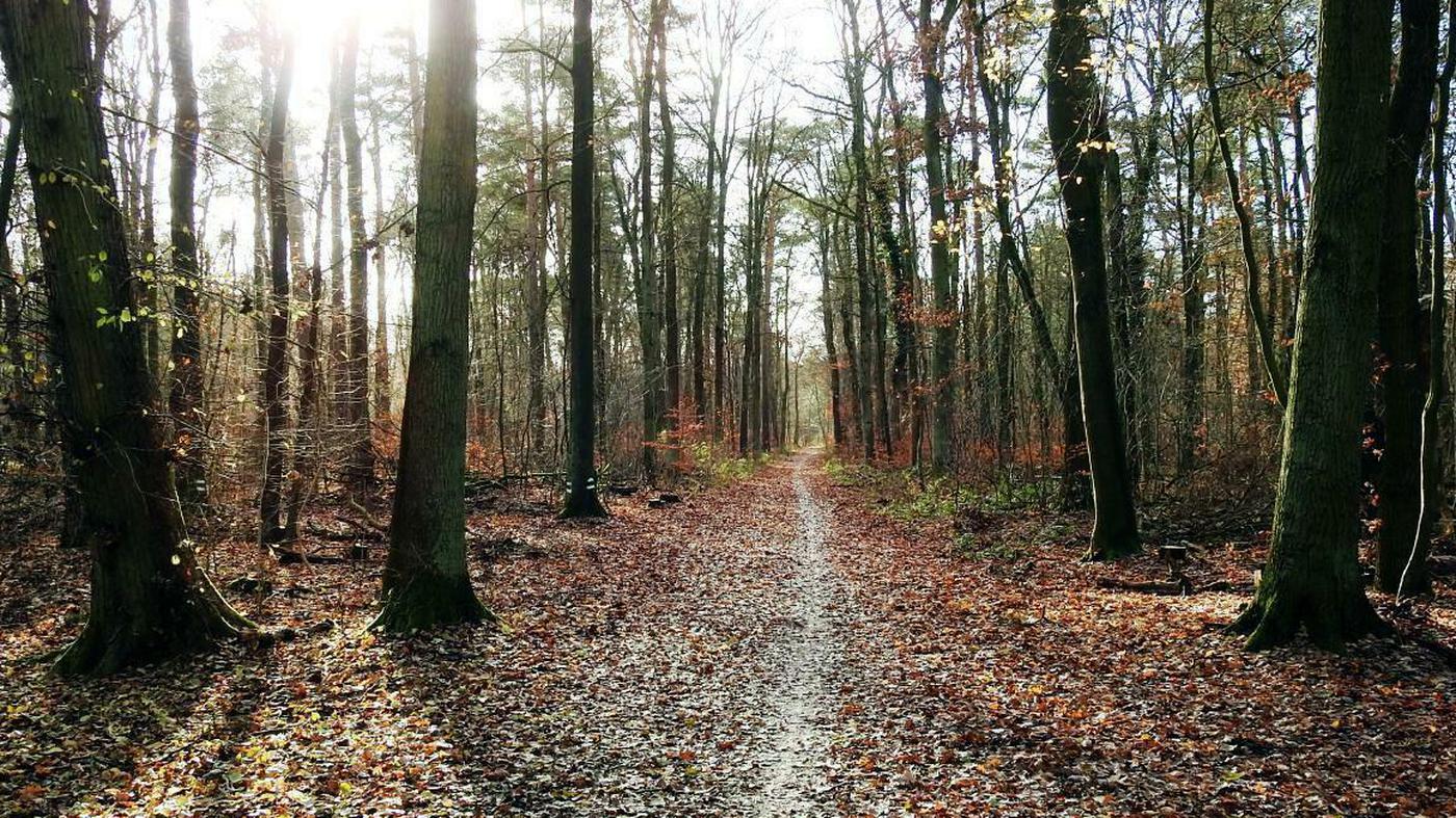 Kr-fte-sammeln-zwischen-den-Jahren-In-der-Stille-liegt-die-Kraft