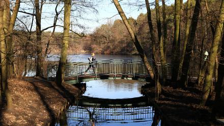 Blick auf die Krumme Lanke in Berlin-Zehlendorf. (Symbolbild)