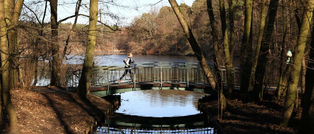 Blick auf die Krumme Lanke in Berlin-Zehlendorf. (Symbolbild)